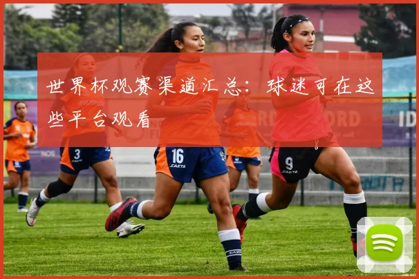 世界杯观赛渠道汇总:球迷可在这些平台观看