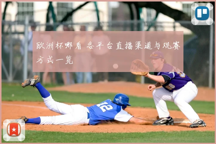 欧洲杯哪看 各平台直播渠道与观赛方式一览